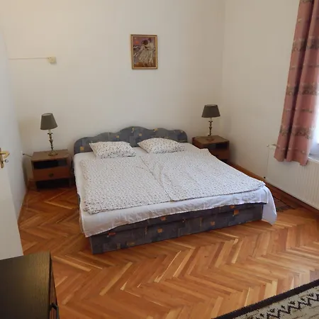 Nefelejcs Nyaralohaz 公寓 *